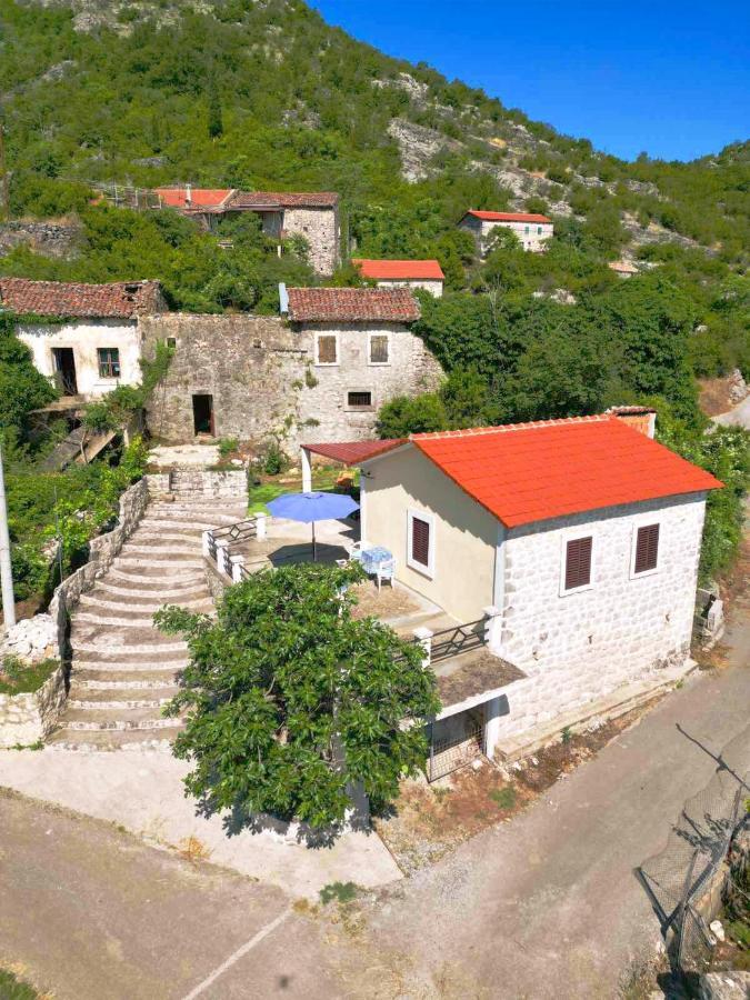 Villa Dabanovic House à Virpazar Extérieur photo