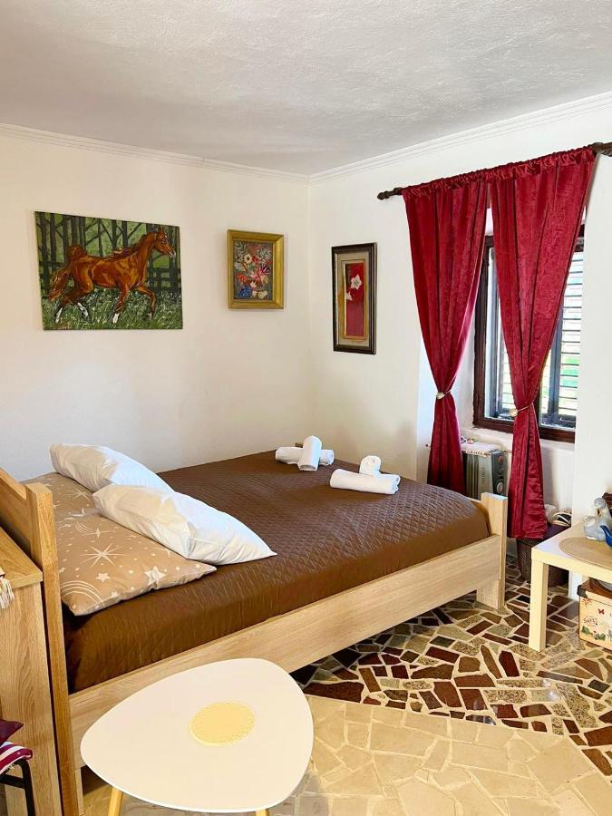 Villa Dabanovic House à Virpazar Extérieur photo
